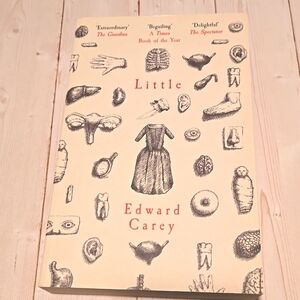 3/$13 Little By Edward Carey Adult Historical Fiction Book
